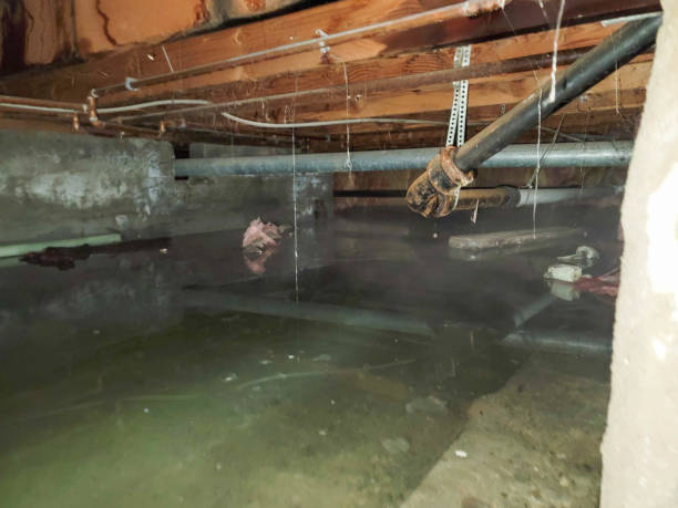 Best Flood restoration services  in Woodburn, OR