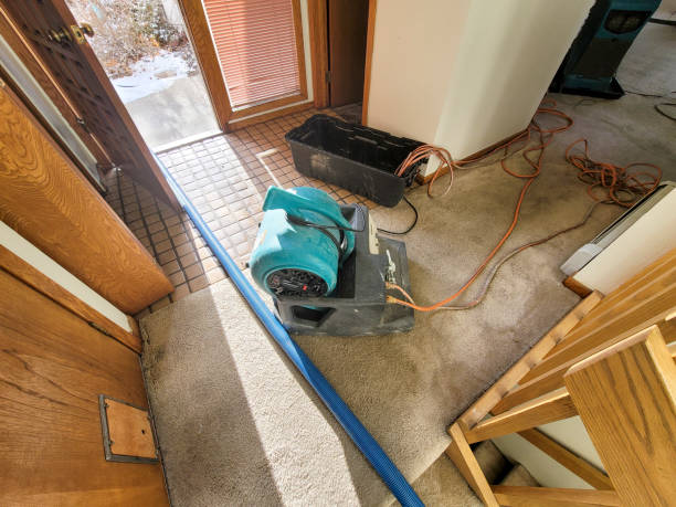 Best Water damage restoration near me  in Woodburn, OR