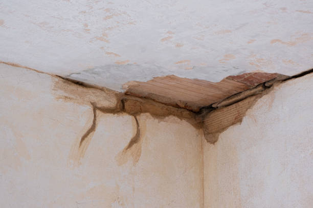Best Professional water damage repair  in Woodburn, OR