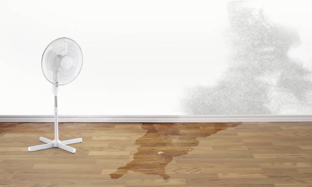 Best Sewage cleanup and water damage restoration  in Woodburn, OR