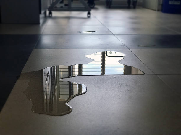 Best Water damage contractors near me  in Woodburn, OR