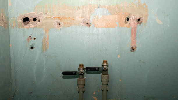Best Water damage restoration insurance claims  in Woodburn, OR
