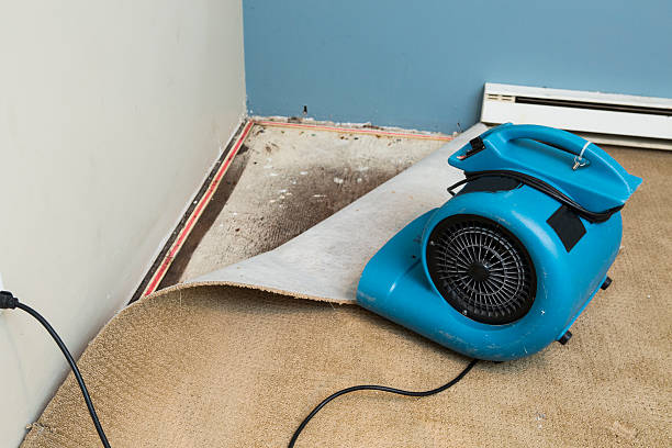 Best Commercial water damage restoration  in Woodburn, OR